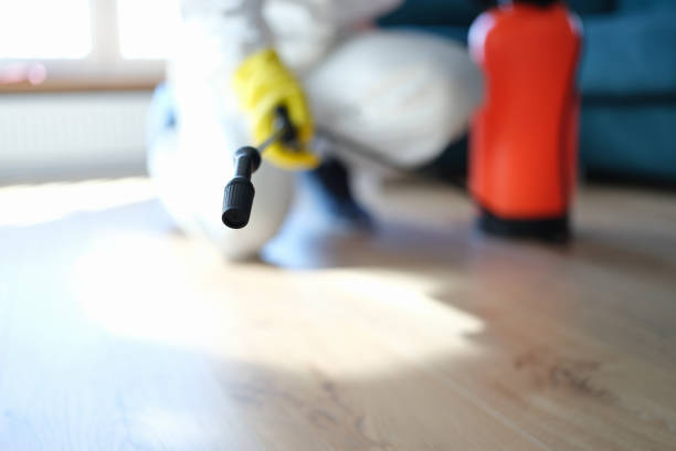 Trusted Quail Ridge, FL Mold Removal Experts