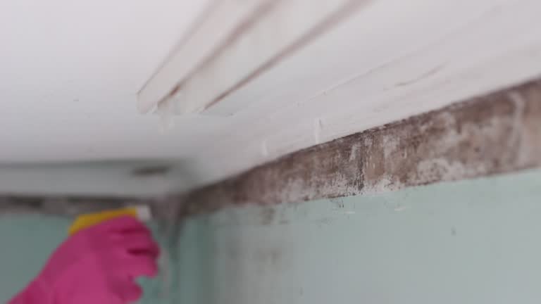 Mold Documentation for Insurance Claims in Quail Ridge, FL